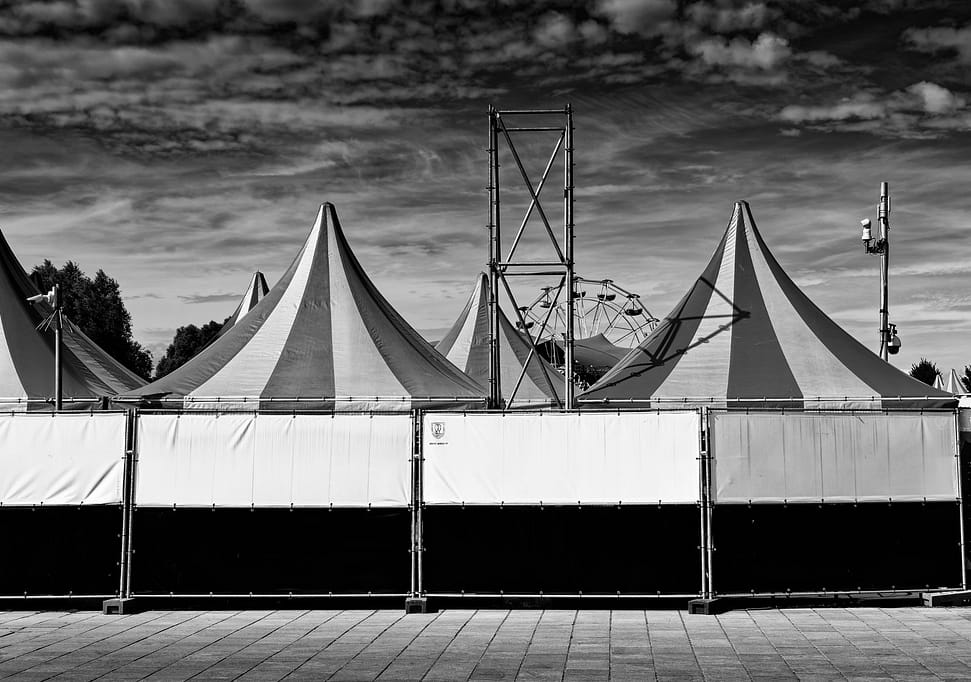 Party, 2022 A festival in the Westerpark in 2022.