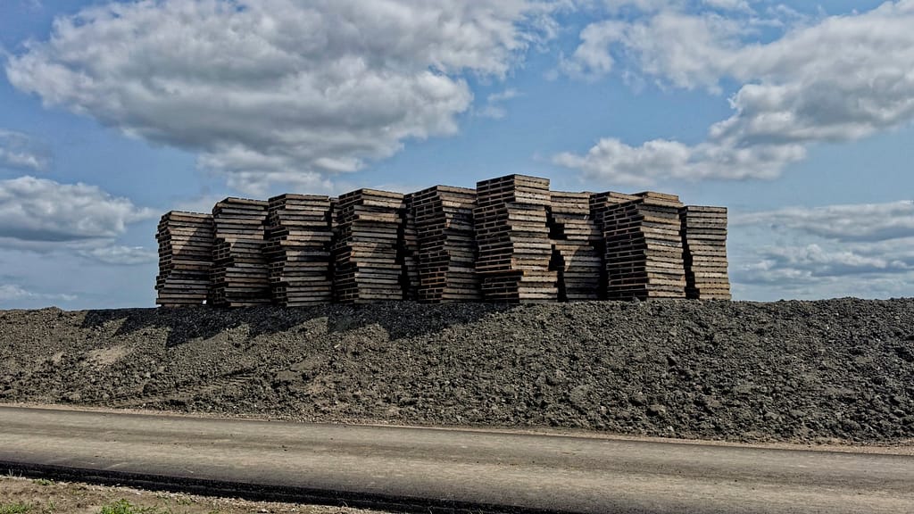 6 August 2025 6 August 2025