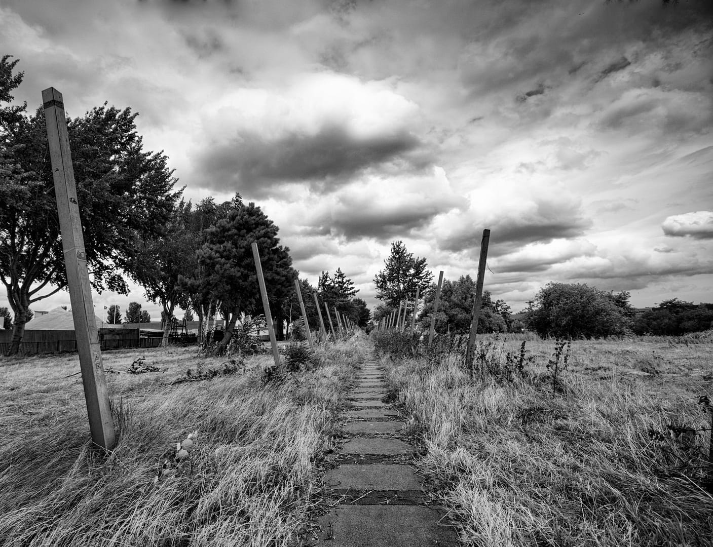 A path in Amsterdam North, 2023.