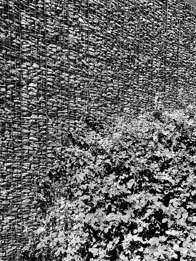 Nature and Structure, 2020 A piece of a wall, 2020, amsterdam.