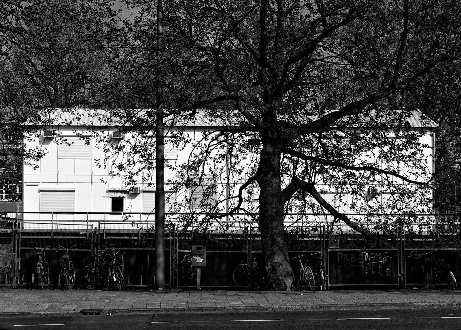 A temporary construction site for builders, 2022.