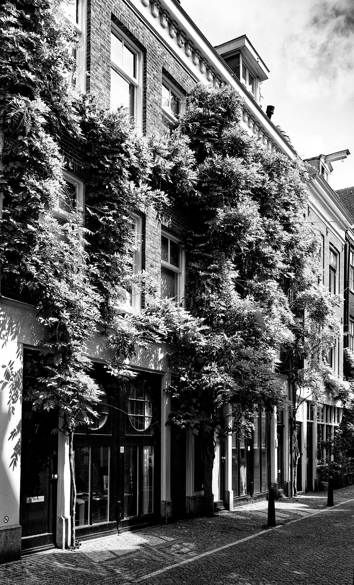 Facade of house in the Jordaan, Amsterdam, 2022.