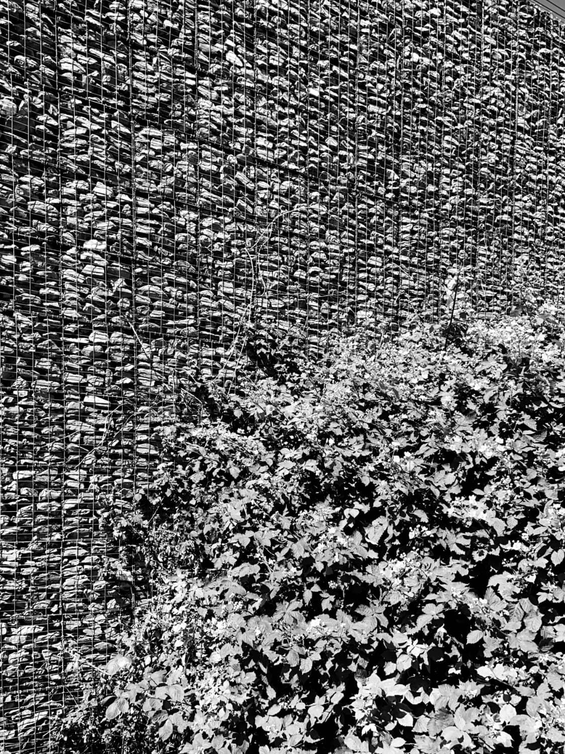 A piece of a wall, 2020, amsterdam.